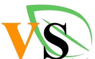 VeGeTSolutions VS Logo